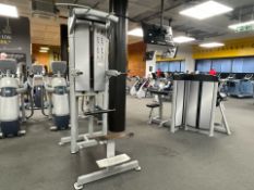 Everlast Pin Loaded Dip/Chin