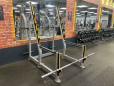 Everlast Squat Rack 2