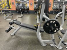 Everlast Decline Bench 2