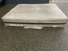 Physical 6 Inch Plyo Box