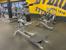 Everlast Plate Loaded Hack Squat