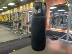 Everlast Punch Bag