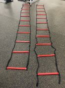 2 Training Floor Ladders