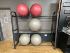5 x Physical Exercise Balls & Stand
