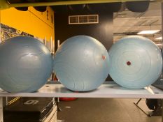 3 Bosu Ballast Ball Pro Exercise Balls