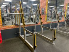 Everlast Squat Rack 1