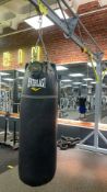 Everlast Punch Bag 2