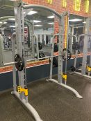 Everlast Smith Machine 1