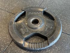 Pair Of Jordan 10KG Plates- No Reserve