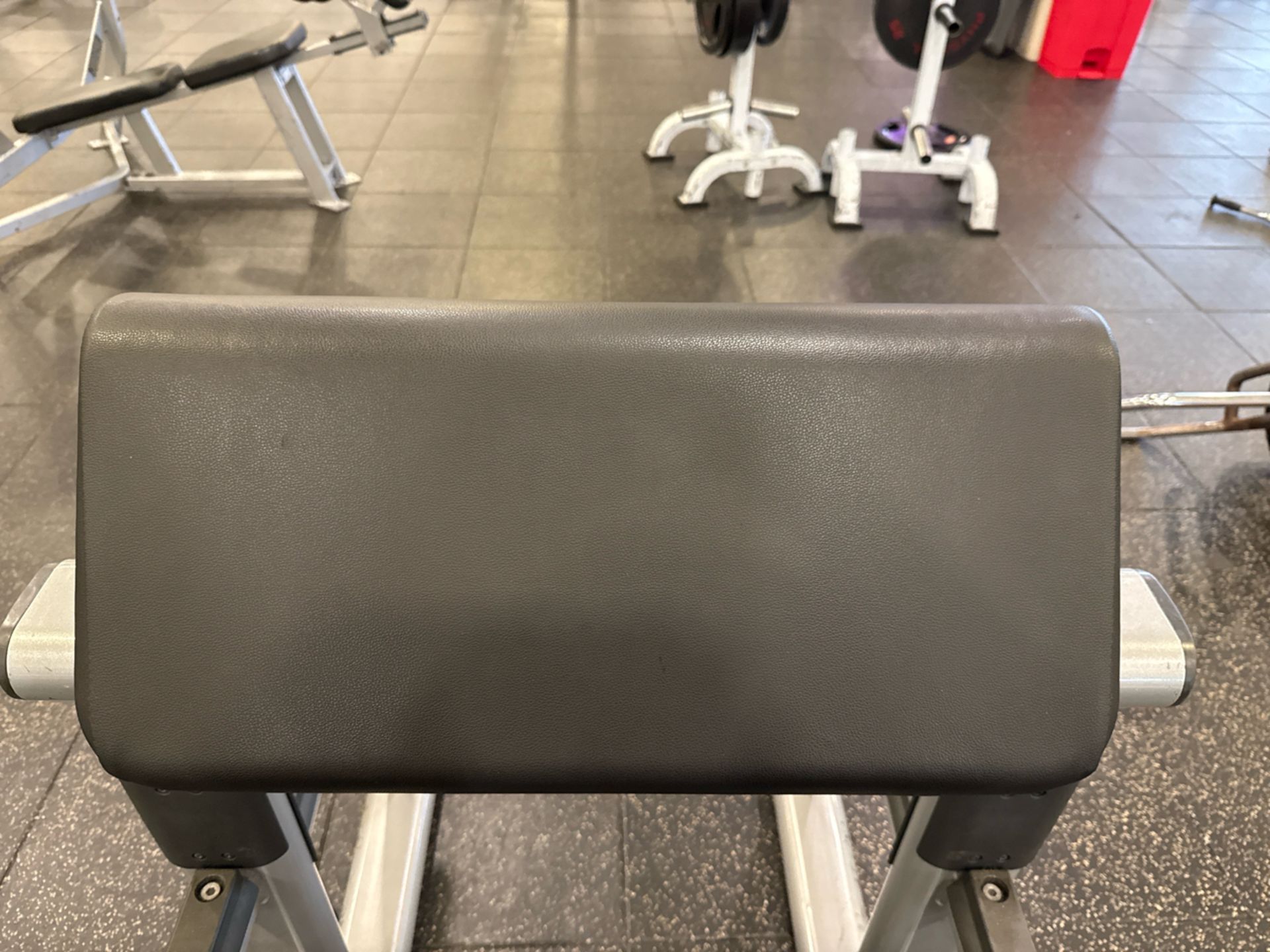 Life Fitness Preacher Curl - Image 5 of 7