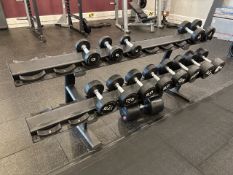 Matrix Dumbbell Stand