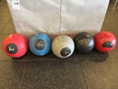 11x Life Fitness Bounce Balls
