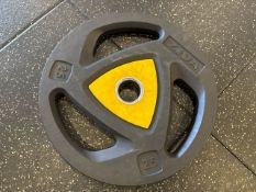 Pair Of Yellow Ziva 25KG Plates