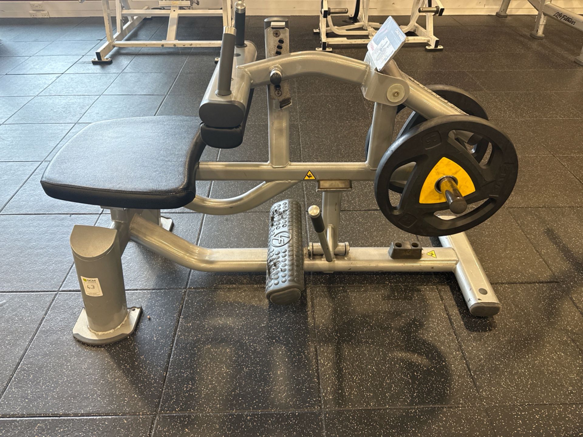 Life Fitness Calf Raise