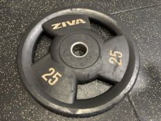 Pair Of Grey Ziva 25KG Plates