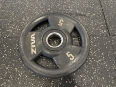 Pair Of Grey Ziva 5KG Plates- No Reserve