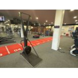 Concept 2 Ski Erg