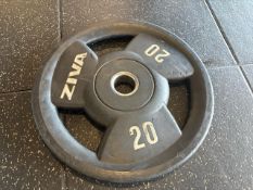 Pair Of Grey Ziva 20KG Plates