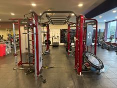 Life Fitness Synrgy 360 Group Training Rig