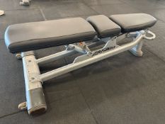 Life Fitness Adjustable Bench