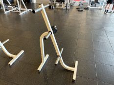 Weight Plate Tree