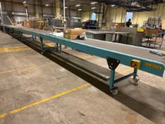 Newland Motorised Belt Conveyor Piece