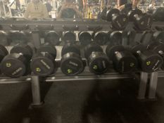50KG Dumbbells x 2