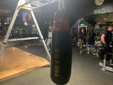 Carbon Claw Punch Bag