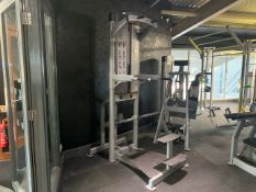 Everlast Pin Loaded Assisted Dip/Chin