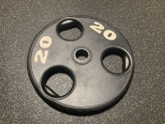 20KG Plates x2
