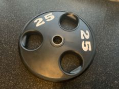 25KG Plates x2