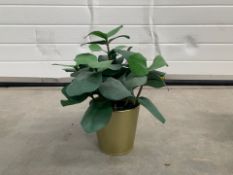 Gold Metal IKEA Plant Pots With Faux Plants x5