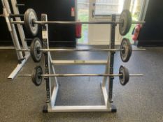 Technogym 25kg, 35kg & 40kg Barbells With Stand