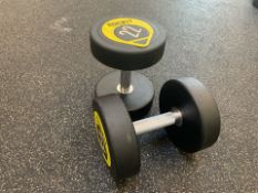 Rockit 22kg Dumbbell x2