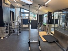 Technogym Pull Up/ Dip Station