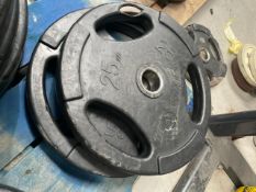 Jordan Metal Weight Plates 25kg x2