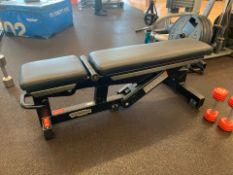 Technogym Adjustable Bench