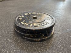 Bison 10kg Bumper Plates x3