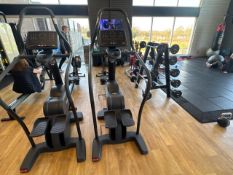 Technogym Stepper