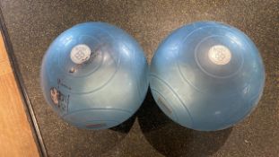 Bosu Ballast Ball 65cm x 2