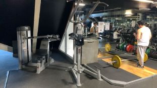 Everlast Vertical Knee Raiser