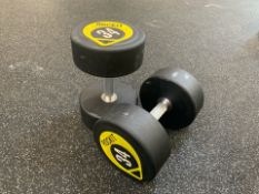 Rockit 34kg Dumbbell x2