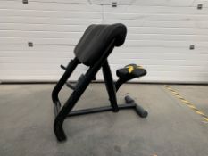 Technogym Preacher Curl Bench