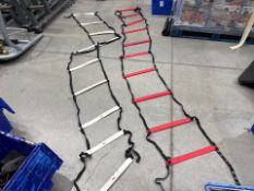 Agility Ladders x2
