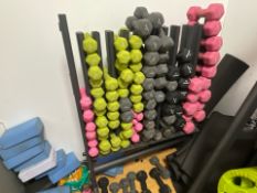 Physical Studio Dumbells & Stand