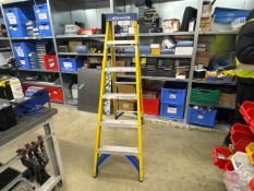 Werner Step Ladder