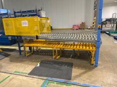 Beereport Motorised Belt Conveyor