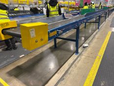 Beereport Motorised Belt Conveyor
