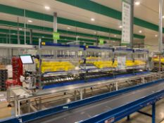 4 Bays Of Roller Picking Racking