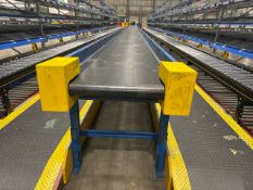 Beereport Motorised Belt Conveyor